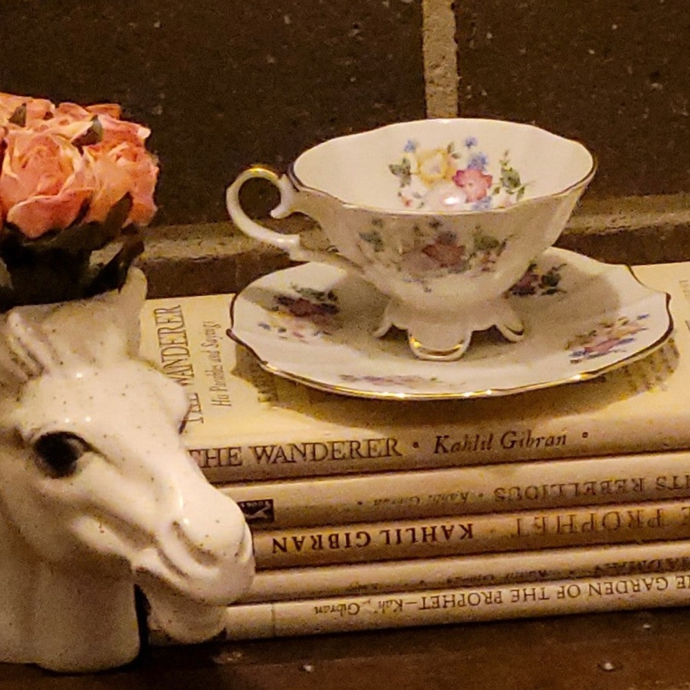 VINTAGE ALKA BAVARIA PORCELAIN TEA CUP & SAUCER GERMANY,